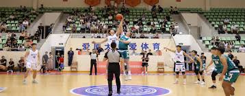 代表丹麦参