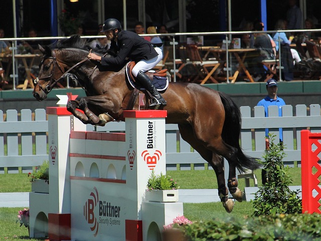 思想交流環 思想交流環