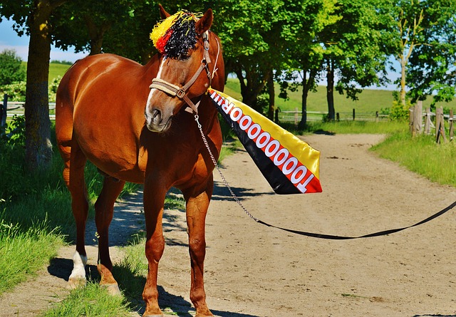 新梅西耀眼 新梅西耀眼