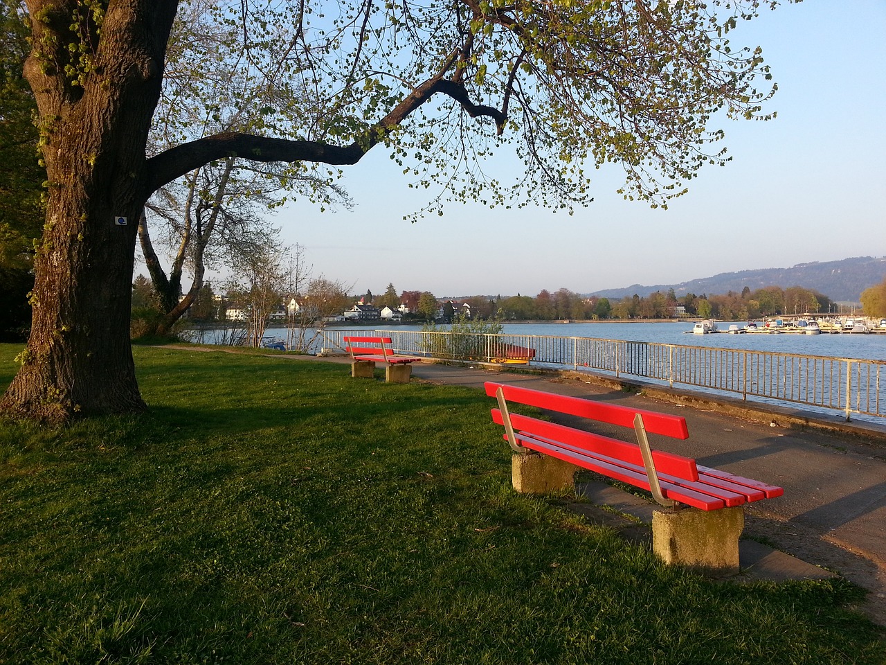 更多的人感 更多的人感