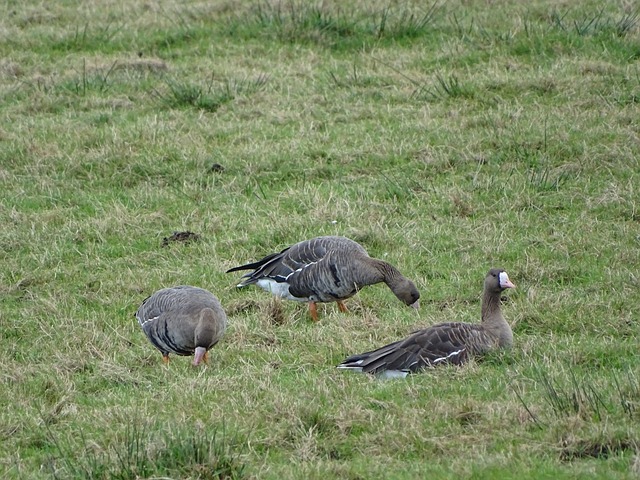 有急于追求 有急于追求