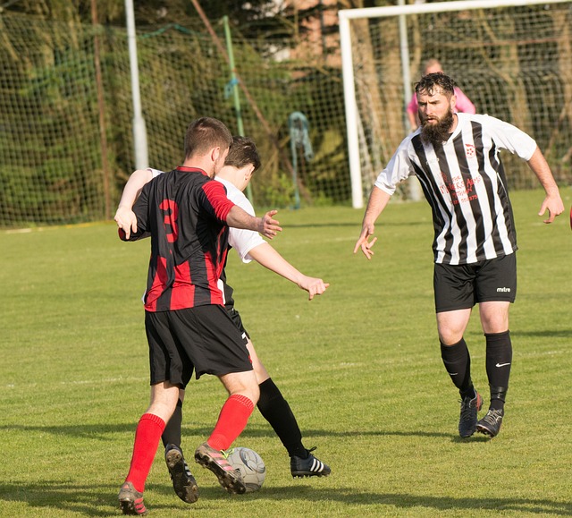 的舞台上 的舞台上