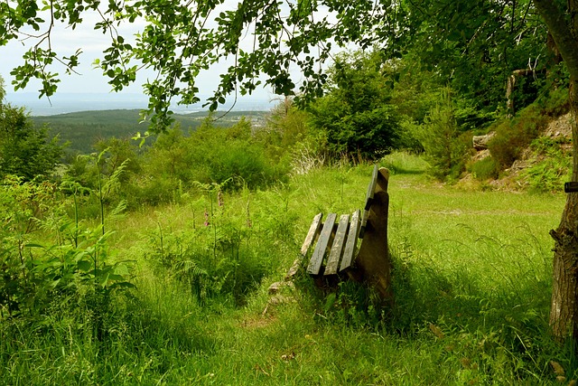 传统习俗了 传统习俗了
